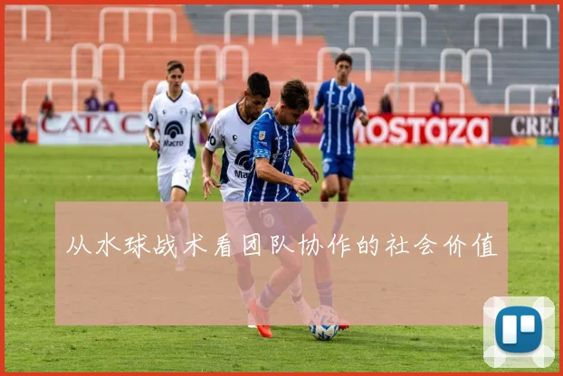 从水球战术看团队协作的社会价值