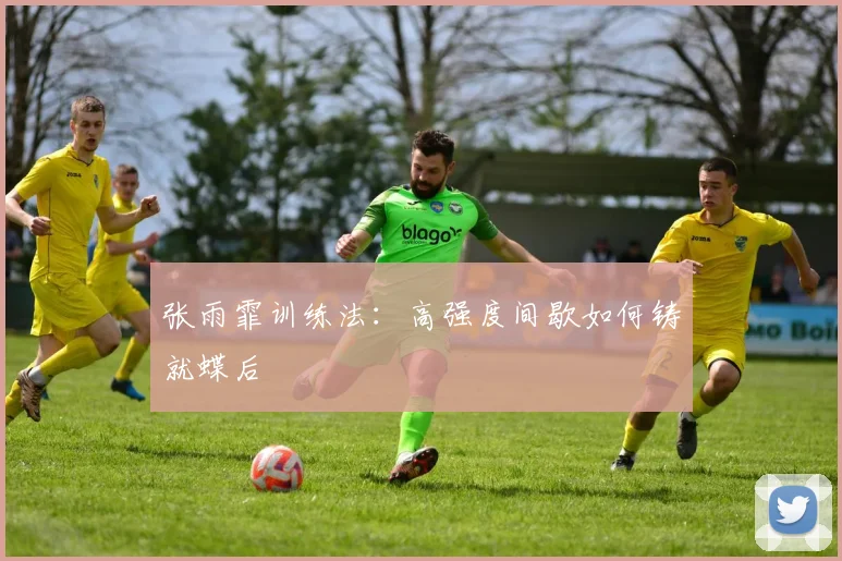 张雨霏训练法：高强度间歇如何铸就蝶后