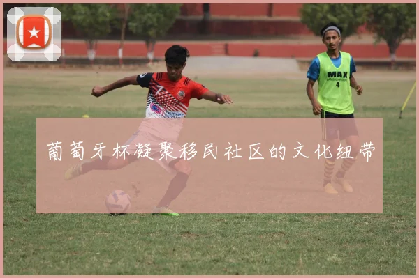 葡萄牙杯凝聚移民社区的文化纽带
