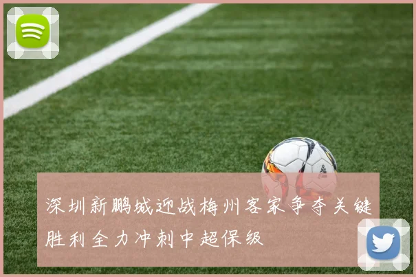 深圳新鹏城迎战梅州客家争夺关键胜利全力冲刺中超保级