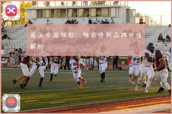 商业帝国雏形：维尼修斯品牌价值解析