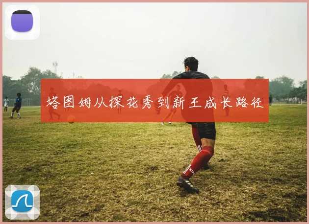 塔图姆从探花秀到新王成长路径